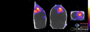 CROmed imaging 5
